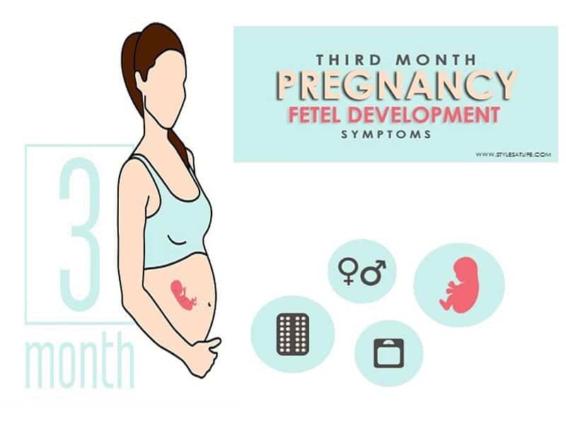 3 kuukautta raskaana