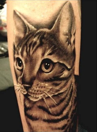 kissan eläinten tatuointi