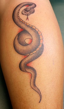 käärmeeläinten tatuoinnit