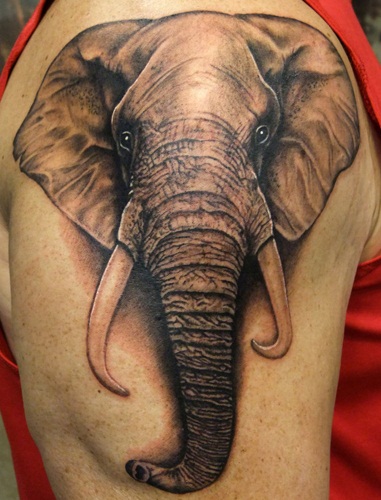 Elefantti -eläinten tatuointi