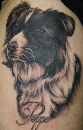 koiran eläinten tatuointi