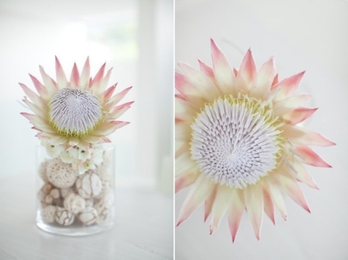 dekor-idéer-strand-bröllop-bord-design-med-växter-vaser