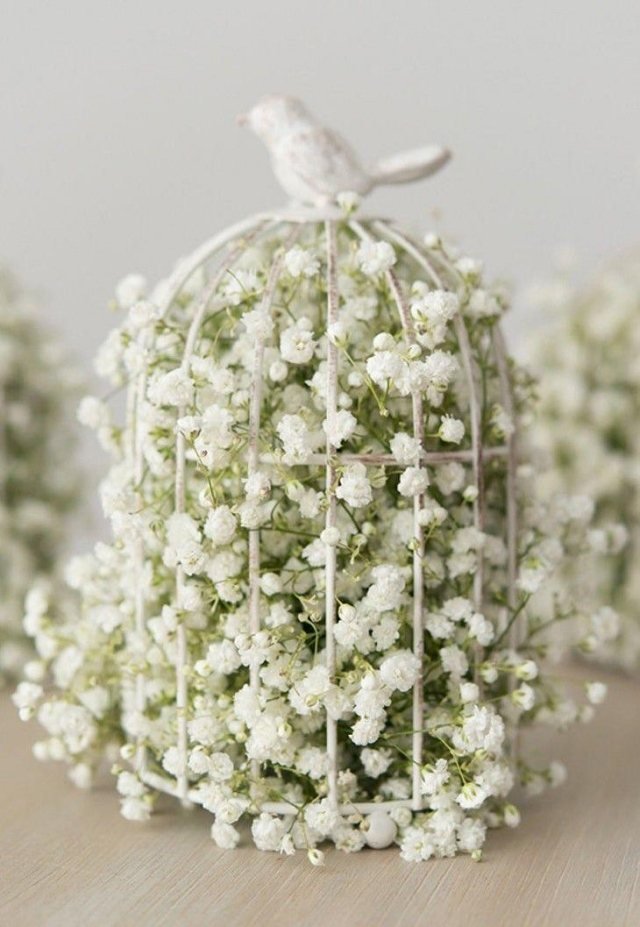 bordsdekoration för bröllop vintage-idé-gypsophila-fågelbur