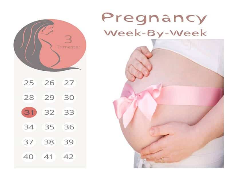 31 εβδομάδων έγκυος