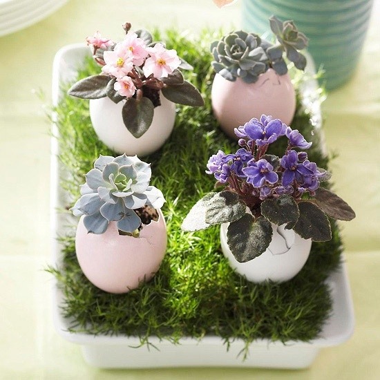 DIY blomma vas idéer med äggskal blåst ut ägg påsk gräs