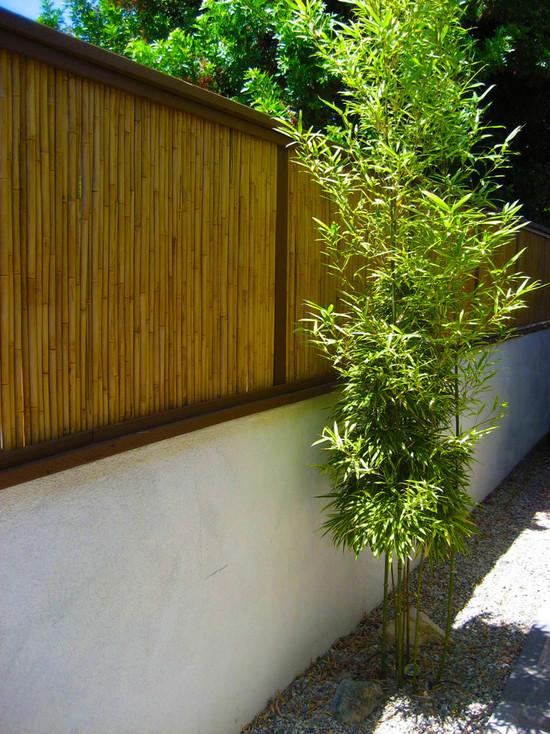 Idéer sekretess skärm betong bambu staket
