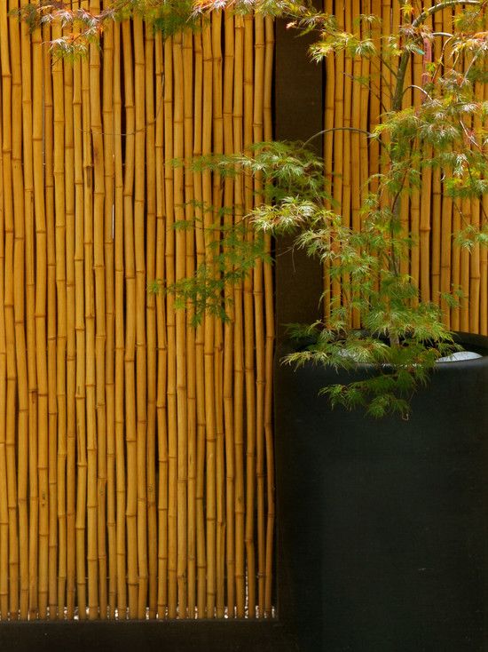 staket metall höga växtkrukor designidéer