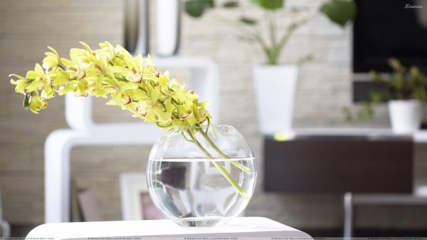 blomma dekoration idéer gula orkidéer fishbowl