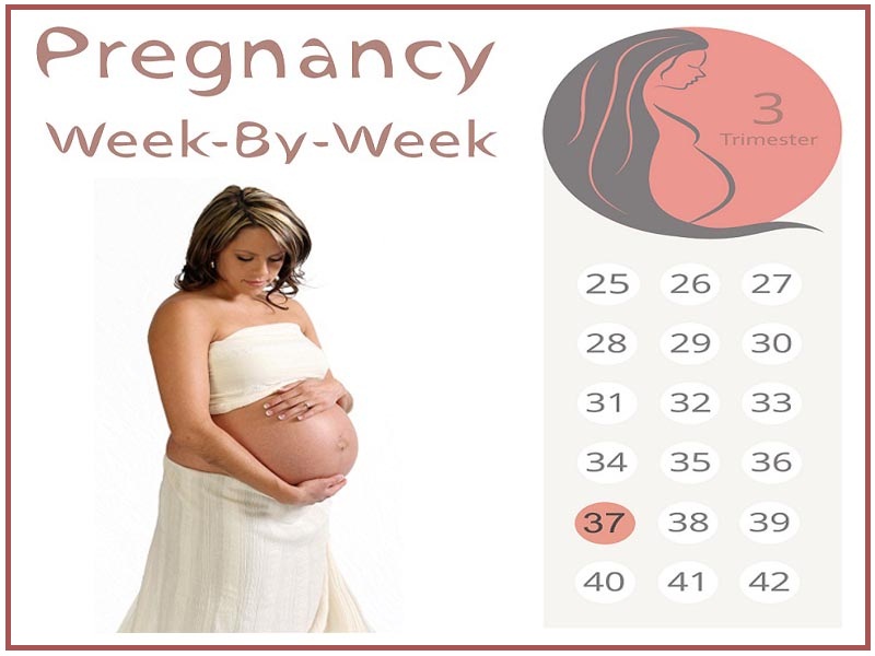 37. raskausviikko
