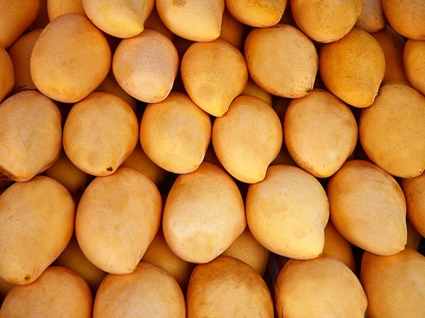 Paljon mehukkaita herkullisia mangoja myynnissä