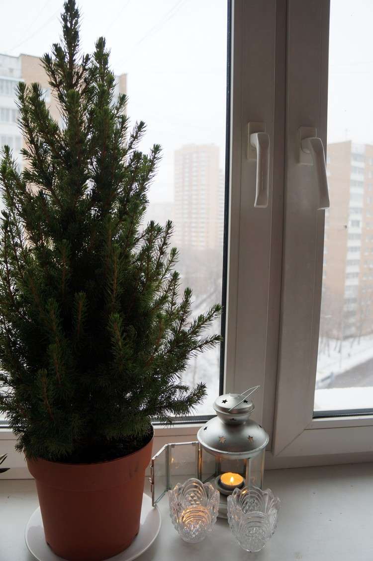 fönsterbrädan-dekoration-inuti-jul-liten-gran-träd-kruka-ljus-lykta