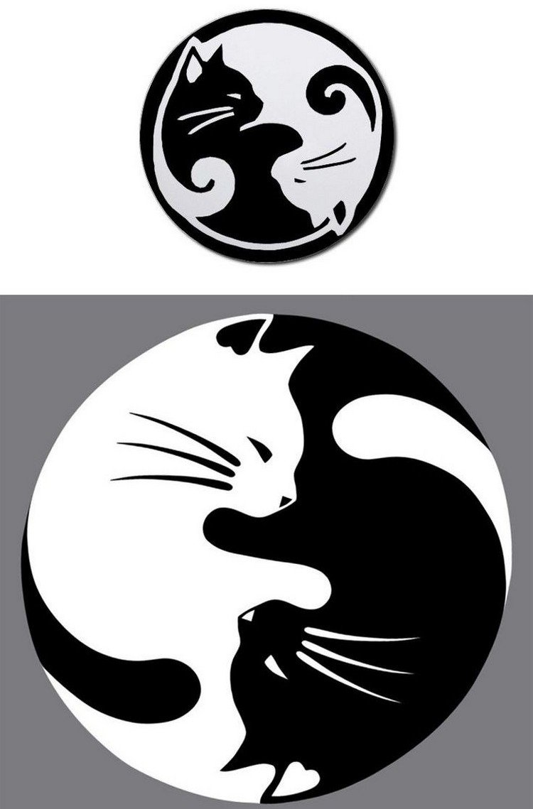 Katt-tatuering-idéer-mall-yin-yang-vit-svart-katt