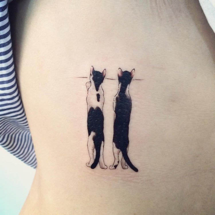 Katt-tatuering-idéer-nyfikna-katter-kikar-över-staketet