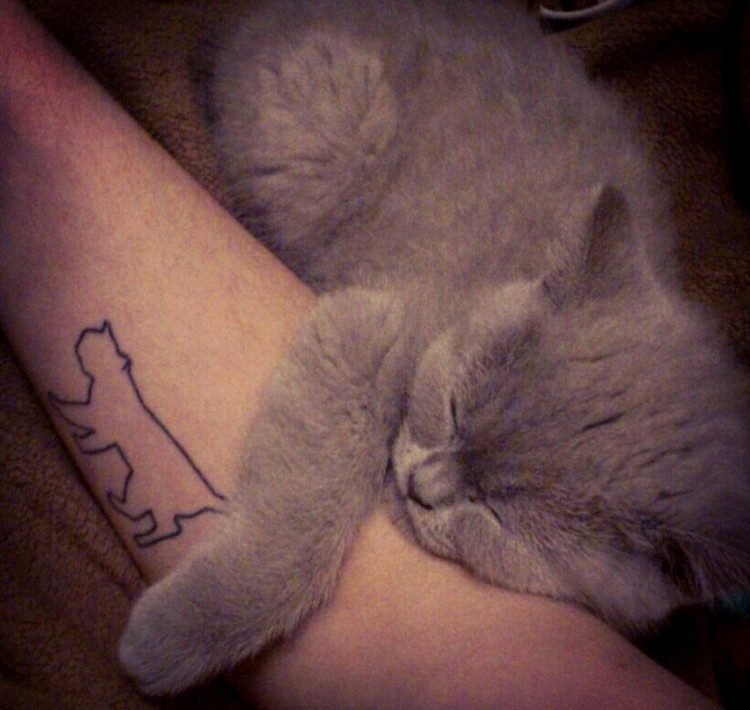 katt-tatuering-idéer-kontur-katt-underarm