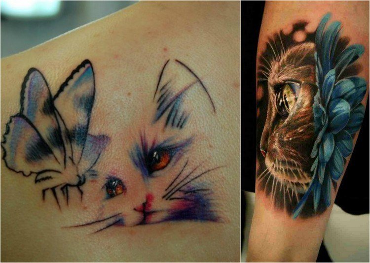 katt-tatuering-idéer-färgglada-bilder-axelblad-överarm-fjäril-blomma