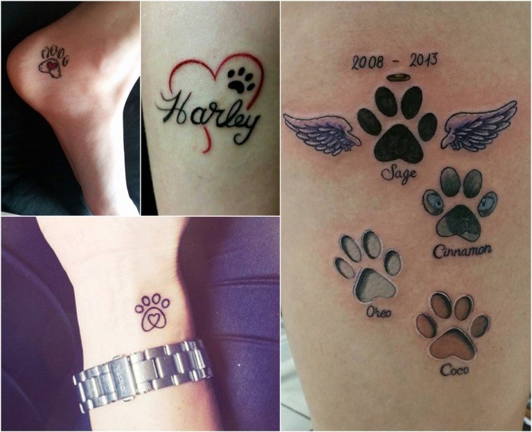tatuering för avliden katt katt tass hjärta och namn