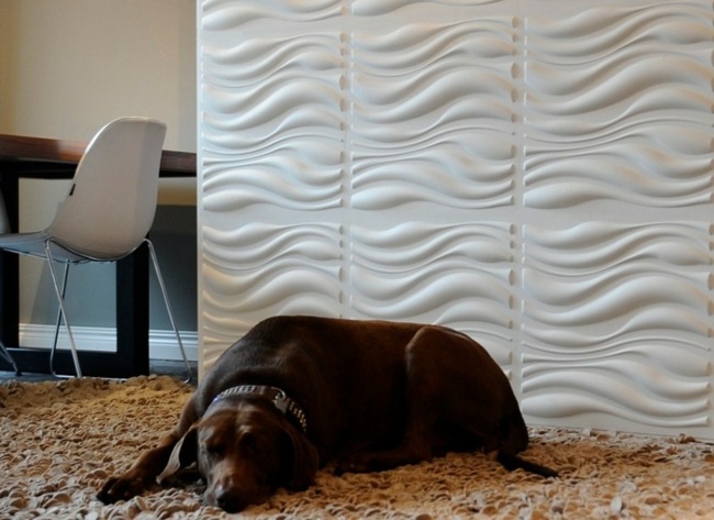 Idéer Väggbeklädnad Vardagsrum Shaggy Carpet Dog