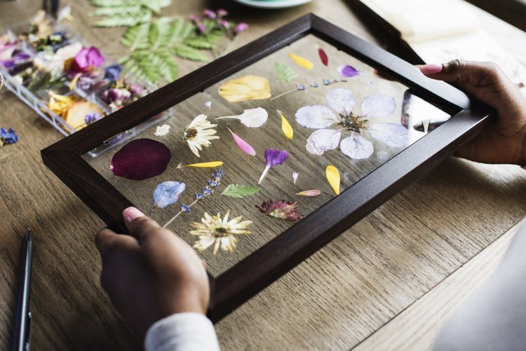 Hantverk idéer vårherbarium torkar blommor i bildram