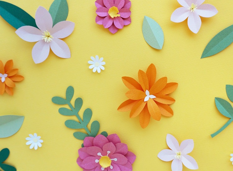 Pappersblommor gör olika typer av blommor färska färger vårsommar