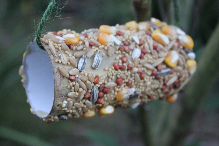 idéer för barnaktiviteter sommar fågelfoderstation DIY