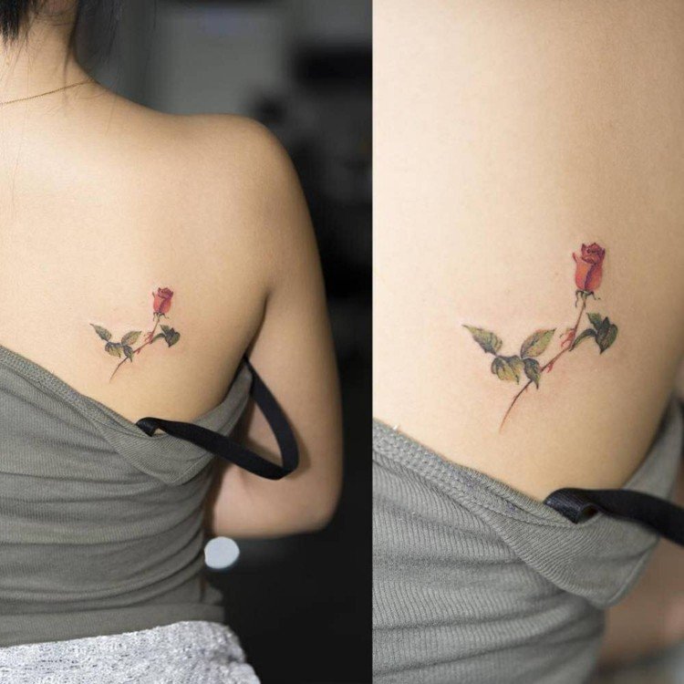 subtil-tatuering-idéer-kvinnor-axel-rygg-romantisk-ros-röd