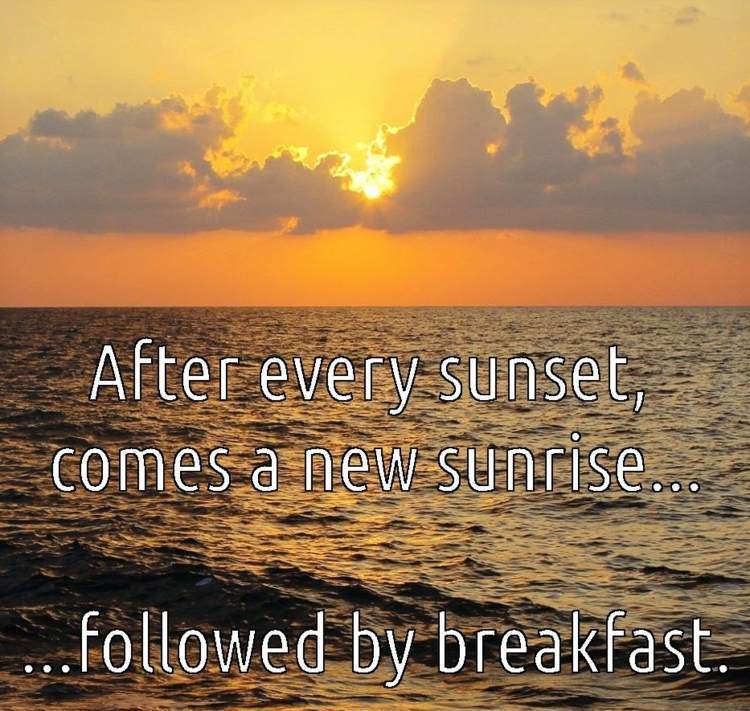 roliga-säger-soluppgång-solnedgång-hav-frukost