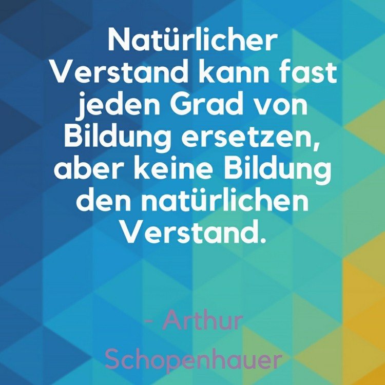 roliga-citat-sinne-utbildning-ersätt-arthur-schopenhauer-ordspråk
