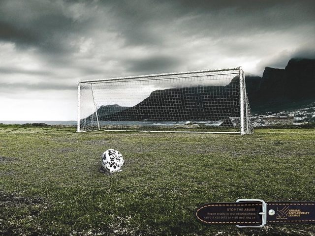Hund-liknande-en-fotboll djurskyddskampanj