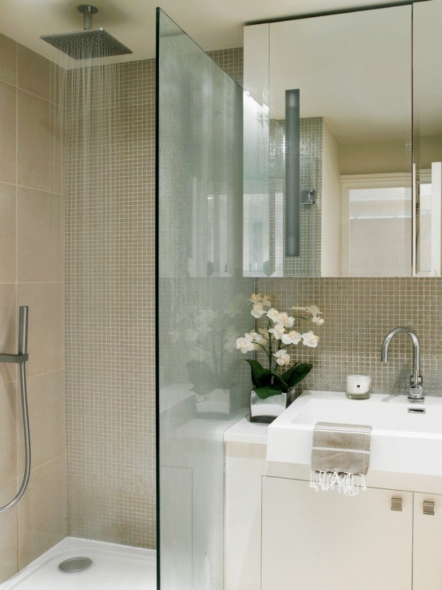 idéer-litet-badrum-duschkabin-glas-vägg-skiljevägg-regndusch