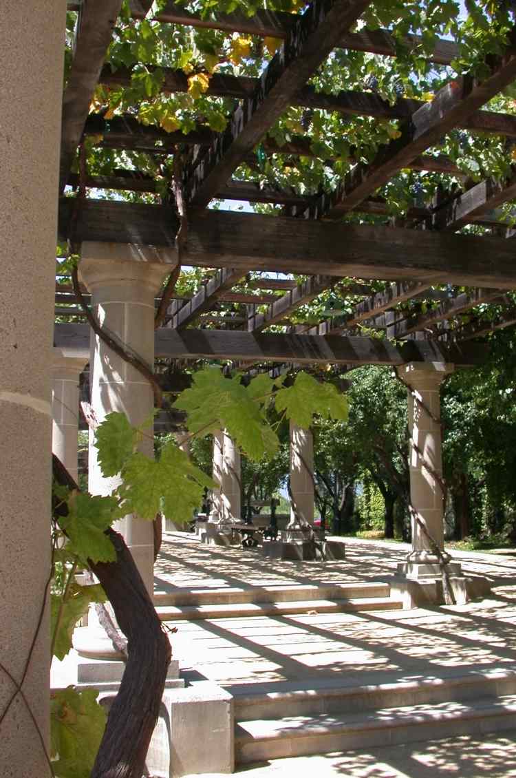 pergola-trädgård-trä-konstruktion-pelare-sten-skugga-vinrankor