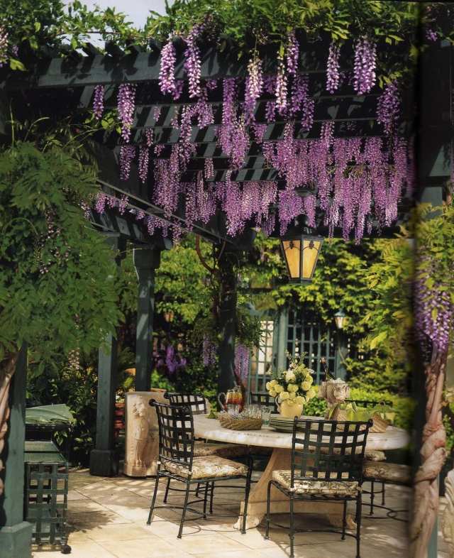 trä pergola i trädgården sekretess skärm romantik blåregn sammanflätade