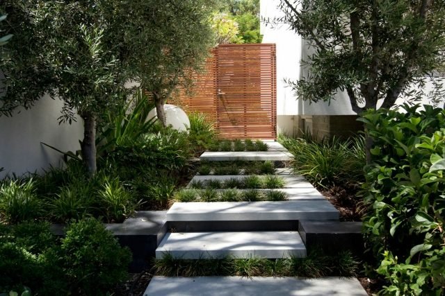 Framträdgård-entré-steg-betong-plattor-olika nivåer-växter