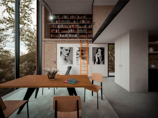 modernt hus-med-mycket-av-glas-inredning-design-bibliotek-tillgängligt-via-trappstege