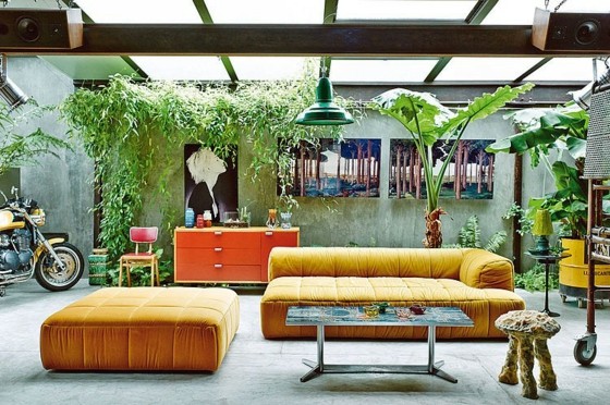 Inomhusväxter-gul-stoppade-möbler-grönt-vägg-tak-med-fönster