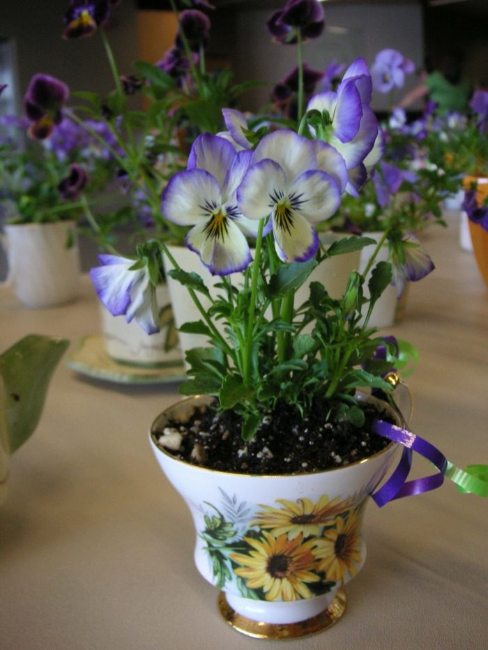 tekopp pensé lila blomkruka inspiration