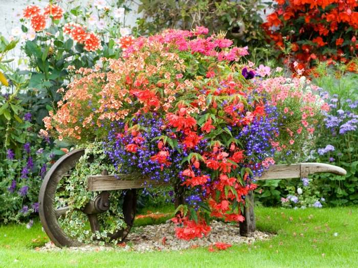 trä skottkärra gamla frodiga blommor växter deco idé