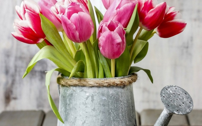 vattenkanna metall rustika tulpaner trädgård blomkruka