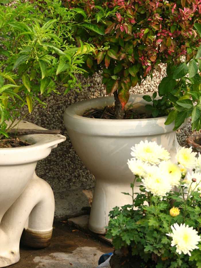 toalett trädgård blomkruka idéer trädblommor