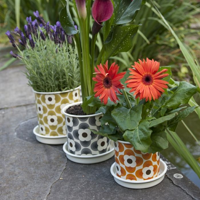 kaffe muggar blommönster blommor växter trädgård idé
