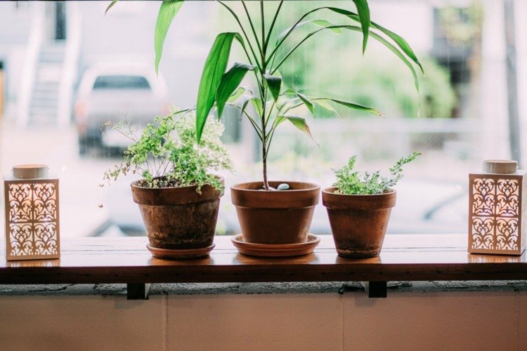 fönsterbräddekoration blomkrukor lyktor växter rustika