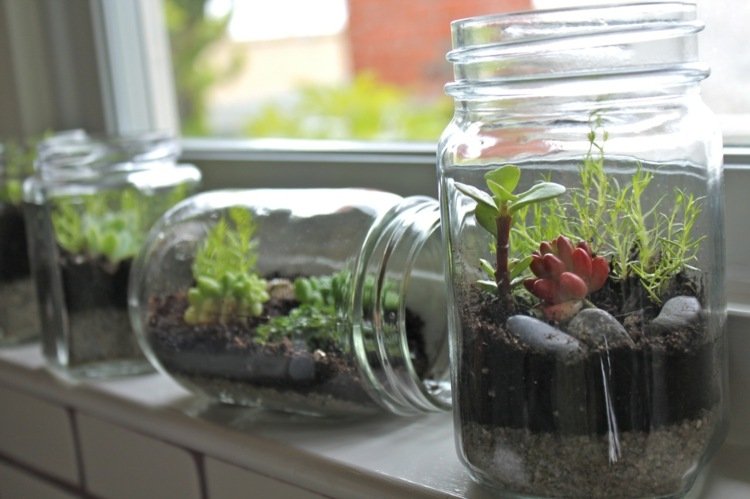 deco fönsterbrädan terrarium hantverk idé jordstenar succulenter
