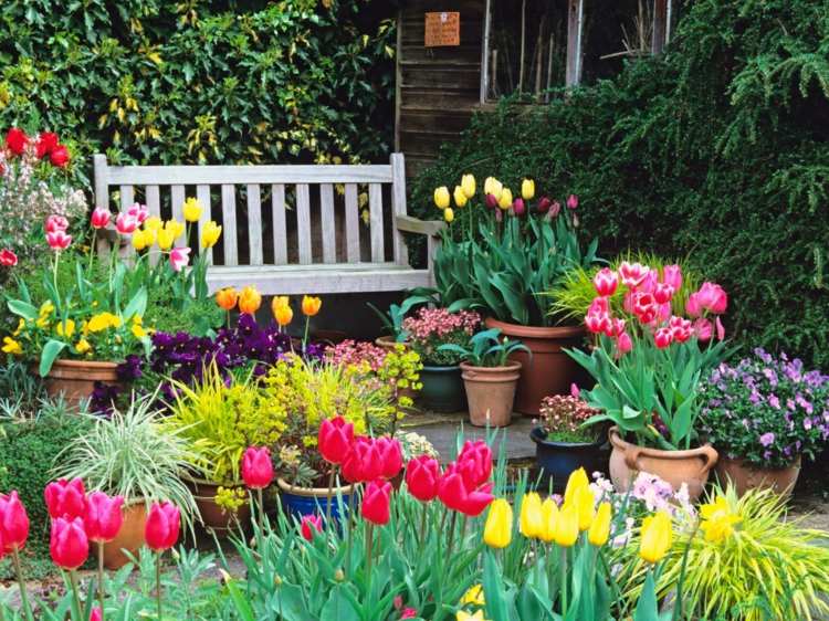 trädgårdsdesign vår-tulpaner-blomkrukor-bänk