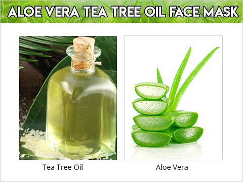 Aloe Veran ja teepuuöljyn kasvonaamio