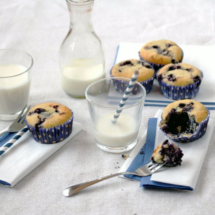 lågkolhydratkaka-recept-muffins-frukt-blåbär-idé