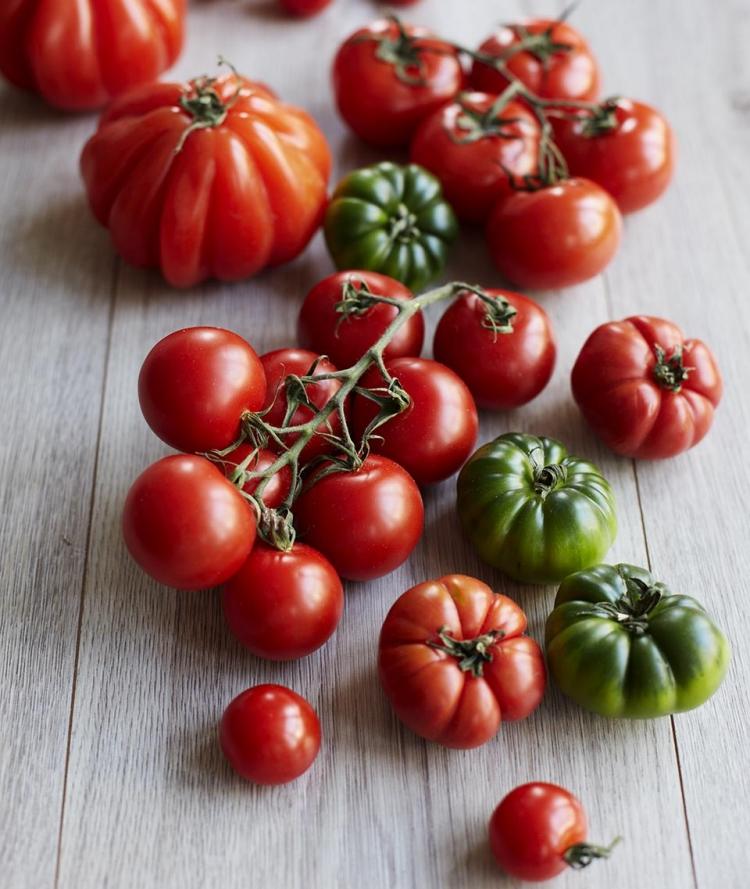 höst-recept-vegetariskt-färska-tomater-rött-grönt-läckert