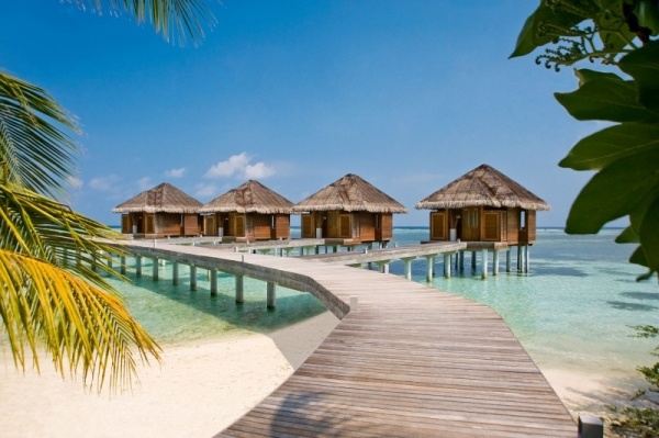 LUX Maldiverna stil kristallklart vatten tropiskt