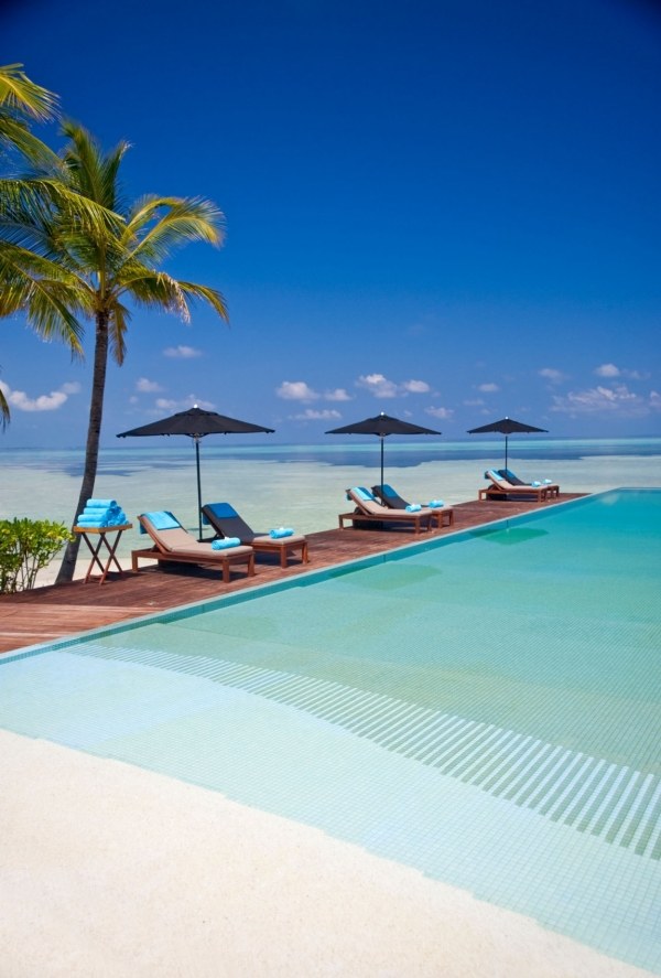 solstolar vid poolen lyxiga säkra Maldiverna
