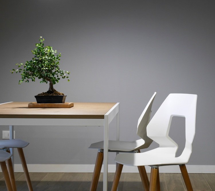 Matsalsdesignmöbler vit bonsai växtbord