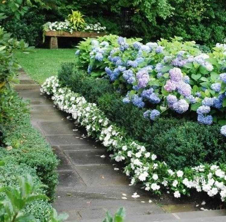 tips-trädgård-design-blommor-buskar-olika-höjder-box-träd-hortensior
