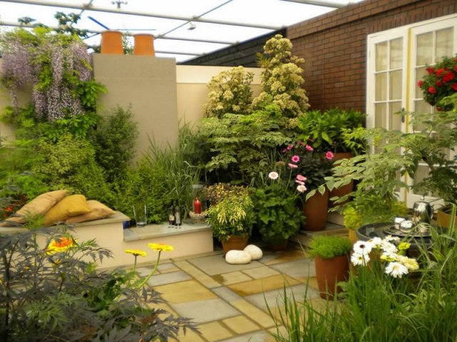 tips trädgård design idéer växter lounge område